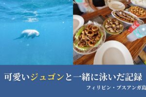 ジュゴンツアーで見たジュゴンとお昼ご飯