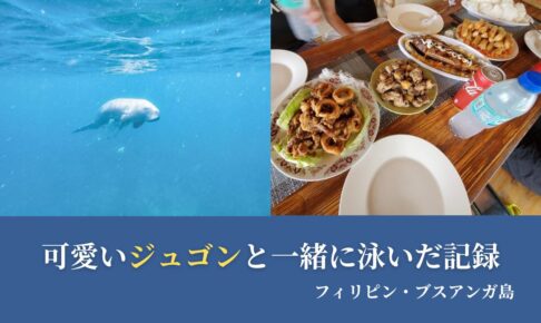 ジュゴンツアーで見たジュゴンとお昼ご飯